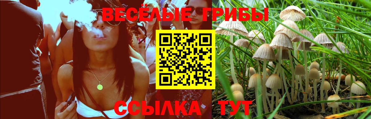 Дагестанские Огни  Галлюциногенные грибы Cubensis  Вход с VPN  купить наркотик  Галлюциногенные грибы ЛСД 